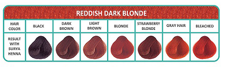 Kleurenkaart reddish dark blond bij Bio Amable
