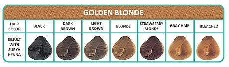 kleurenkaart golden blonde bij Bio Amable