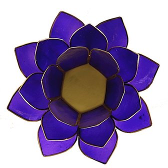 Indigo lotus | 3e oog chakra
