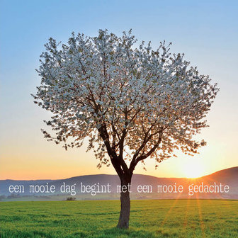 Een mooie dag begint met een mooie gedachte
