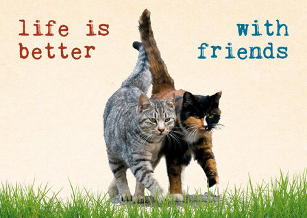 Kaart: Life is better with friends | Zintenz