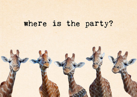 Kaart: Where is the party? | ZintenZ