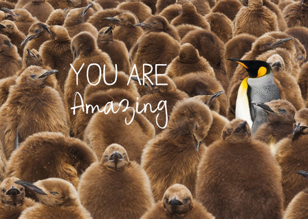 Kaart: You are amazing | Zintenz