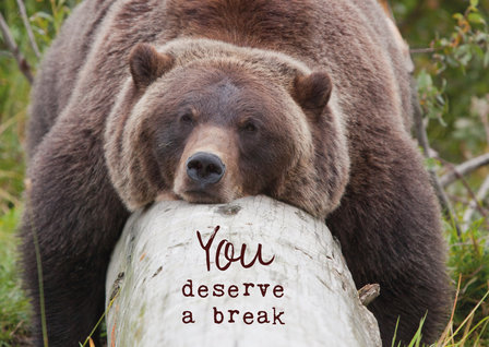 Kaart: You deserve a brake