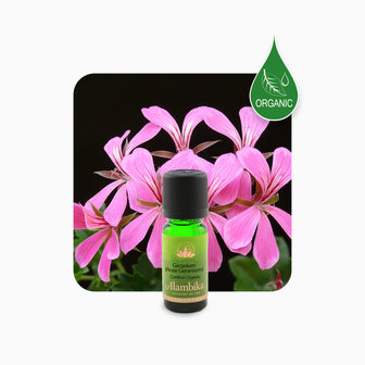 Rose Geranium organic | Alambika