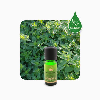 Marjoram sweet organic | Alambika