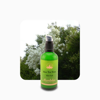 Tea tree & Aloe gel | Alambika