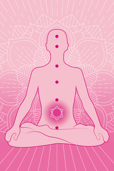 Body &amp; soul elixir Pink Lotus beauty | Khadi