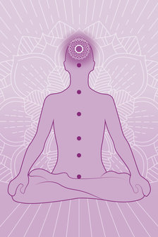 Skin &amp; Soul Body Oil: Shatavari Everyoung | Khadi