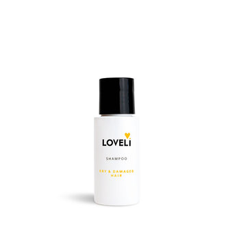 Shampoo dry &amp; damaged hair | Loveli