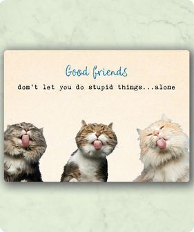  Good friends don&#039;t let you do stupid thins alone | Zintenz