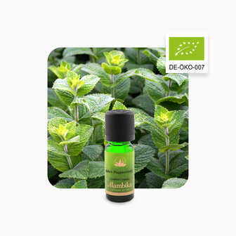 30ml Peppermint organic | Alambika