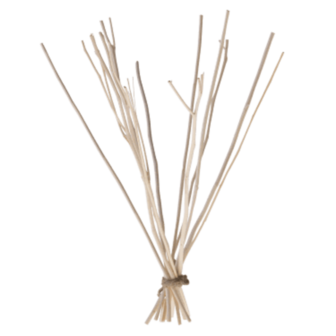 Bosje kajute voor roomdiffuser | We love the planet