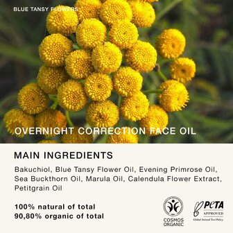 Overnight Correction Face oil - 30ml