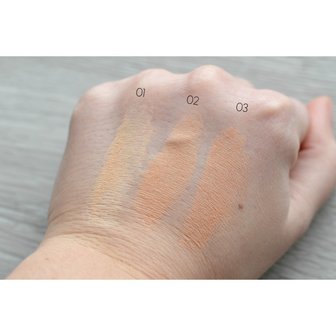 Swatches loose powder