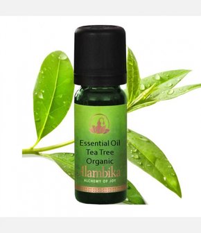 Biologische tea tree etherische olie