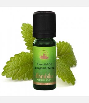 Bergamot mint | Alambika