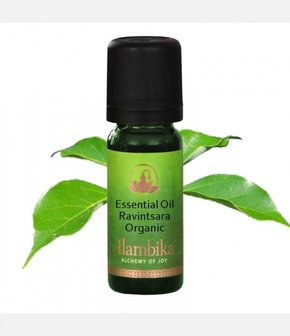 Organic Ravintsara oil