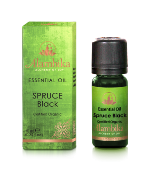 Organic black spruce oil