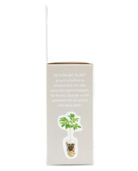 Skoon Natural Cosmetics - Konjac Spons: Pure Natural