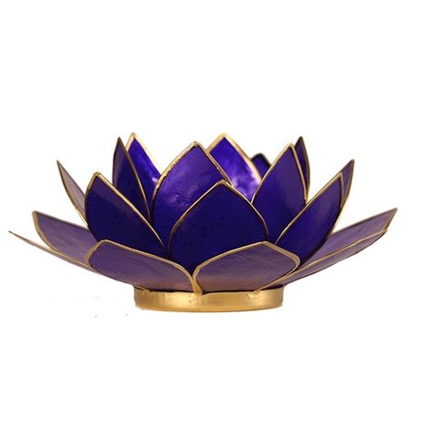 Lotus sfeerlicht | Indigo