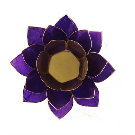Lotus violet | Kruinchakra