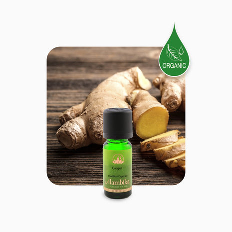 100% biologisch essentiële Ginger, Gember olie | Alambika