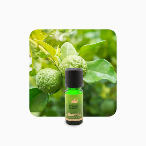 Bergamot petitgrain | Alambika