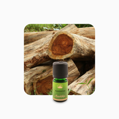 Rosewood etherische olie | Alambika