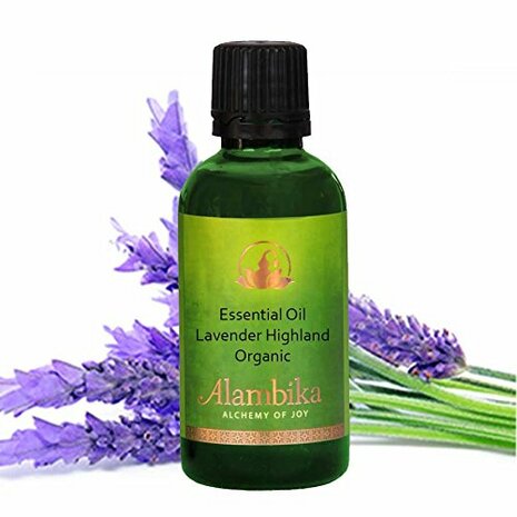 Lavender highland etherische lavendelolie | Alambika