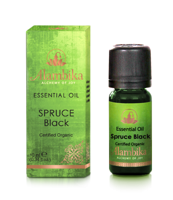 Organic black spruce oil