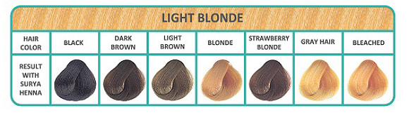 Kleurenkaart natuurlijke haarverf Light Blonde bij Bio Amable