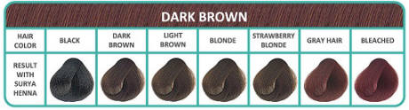 Kleurenkaart biologische henna haarverf creme dark brown bij bio amable