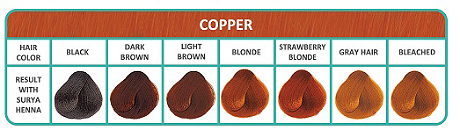 Kleurenkaart Copper haarverf bij Bio Amable