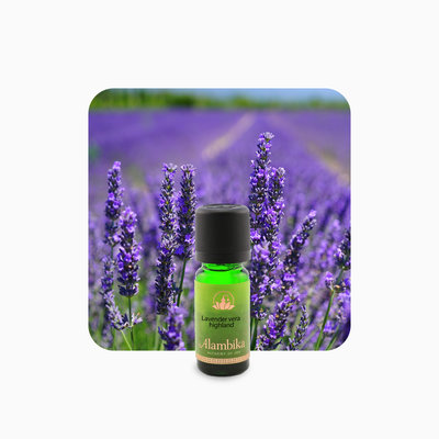 Alambika - Etherische olie: Lavender Highland Biologisch Gecertificeerd 10 ml