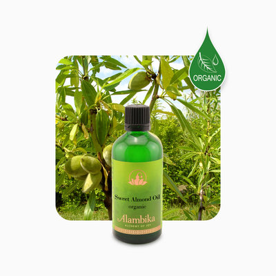 Alambika - Basis olie: Sweet Almond / Zoete Amandel Olie Biologisch Gecertificeerd 30 ml